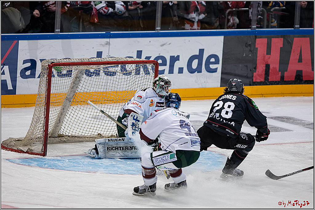 DEL, Koelner Haie - Augsburger Panther, 13.01.2017
